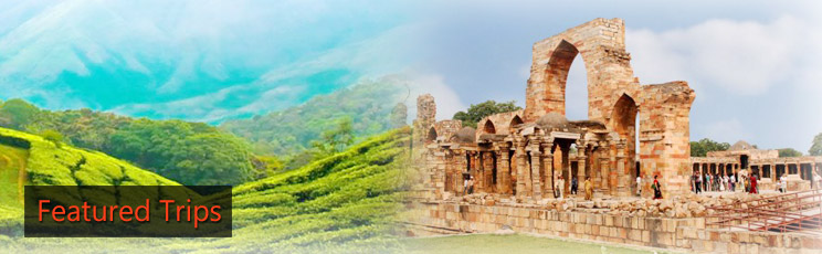 tour_img